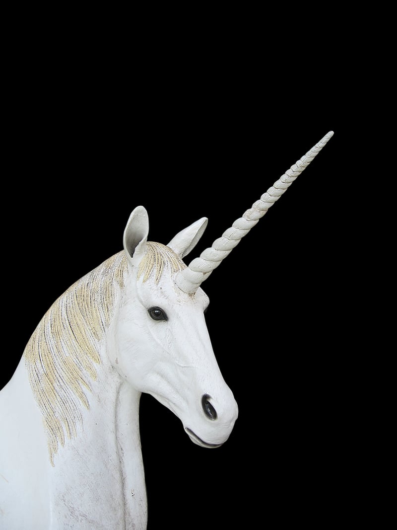 Unicorn pastures